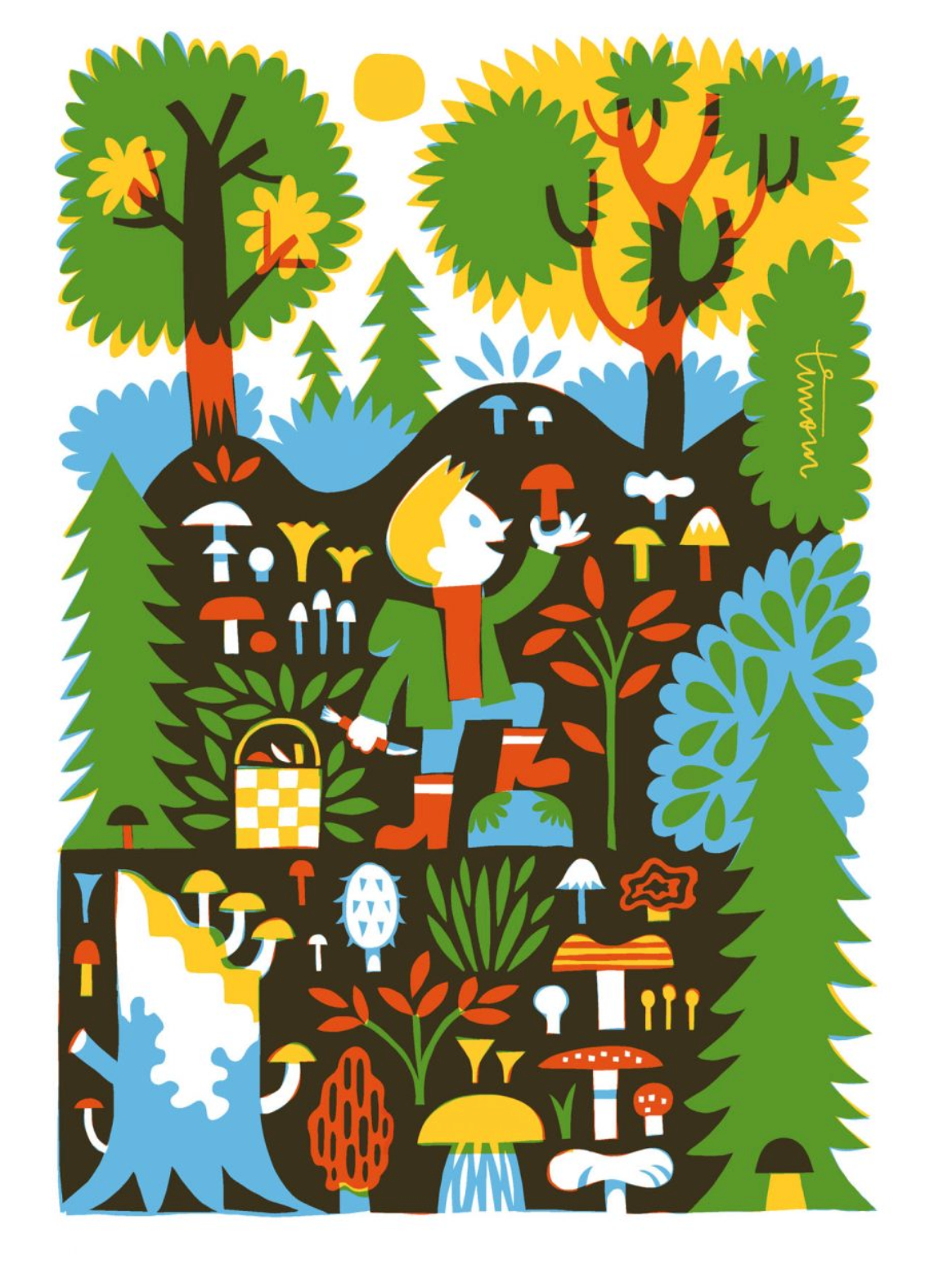 Sienet – Postcard by Matti Pikkujämsä