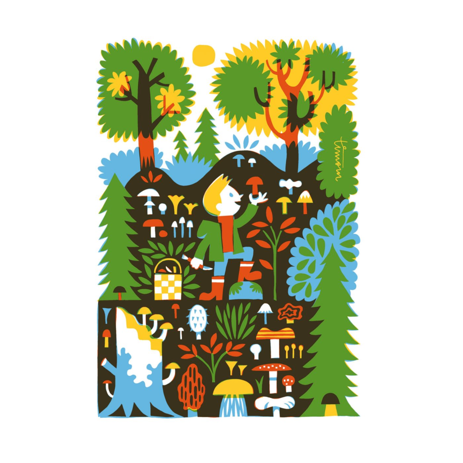 Sienet – Postcard by Matti Pikkujämsä