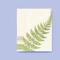 Curve Fern - Small Note Cards (Pack of Six)