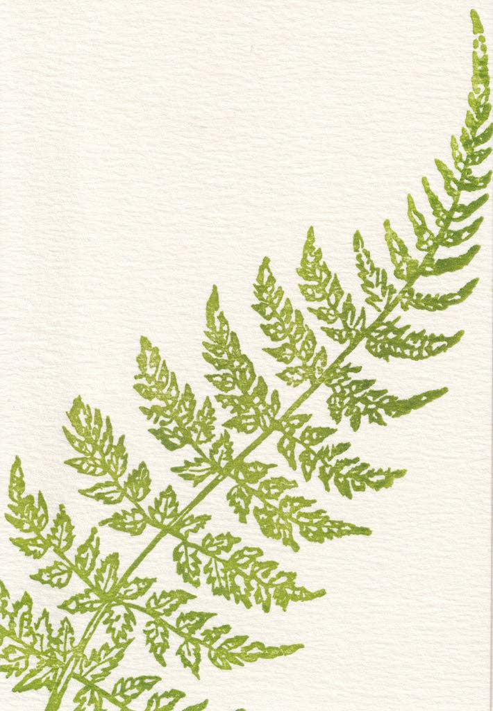 Curve Fern - Small Note Cards (Pack of Six)