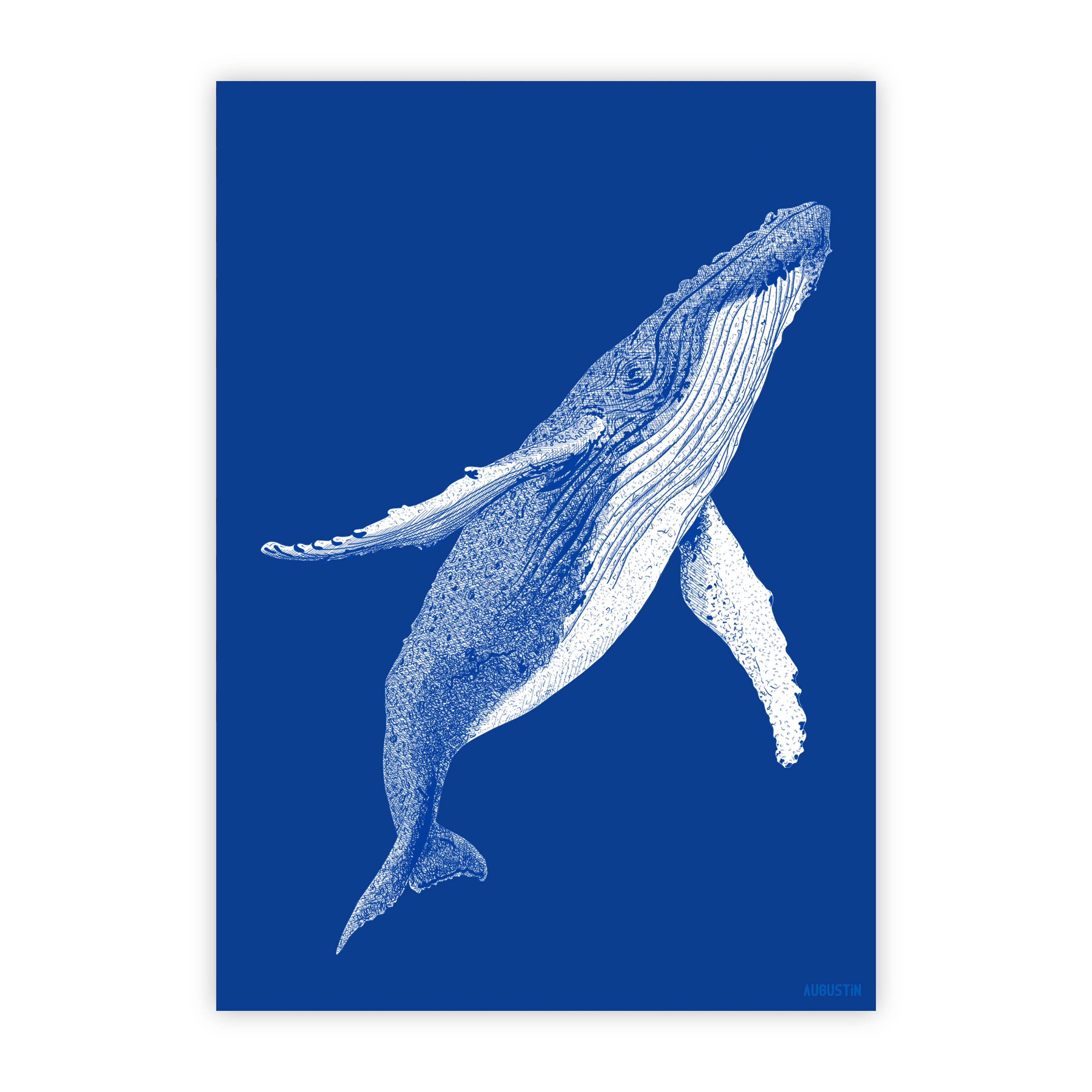 The Ocean – Postcard by AUGUSTIN
