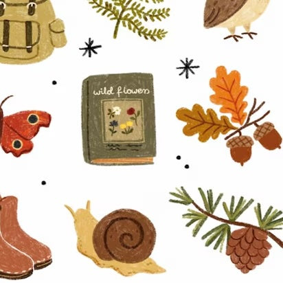 Forest Walks – Stickers by Och Monika